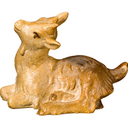 Cabrito acostado